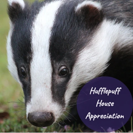 Photo of a badger face with the text Hufflepuff House Appreciation