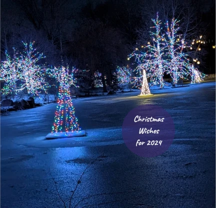 Trees lit with Christmas lights on a frozen pond with the text Christmas Wishes for 2024